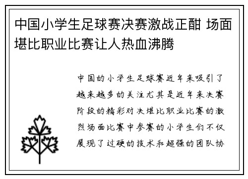 中国小学生足球赛决赛激战正酣 场面堪比职业比赛让人热血沸腾