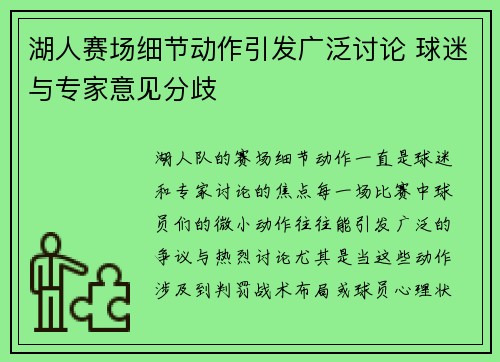 湖人赛场细节动作引发广泛讨论 球迷与专家意见分歧